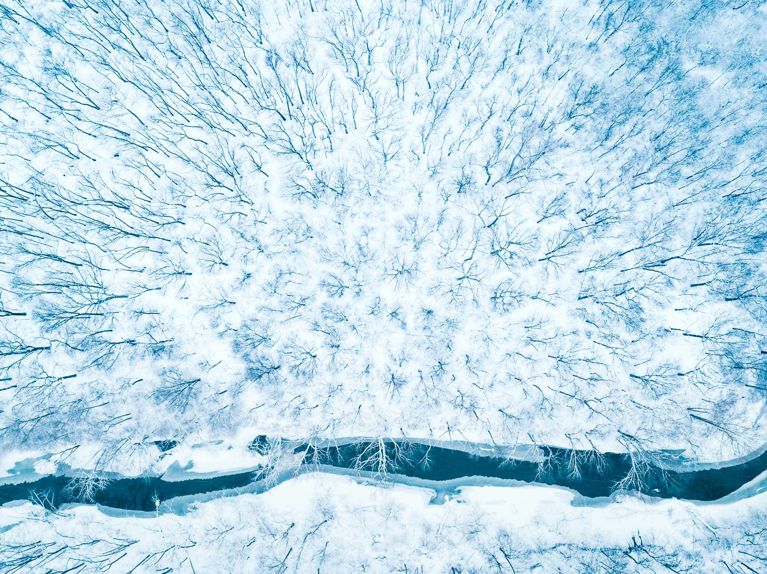DJI_0078-2
