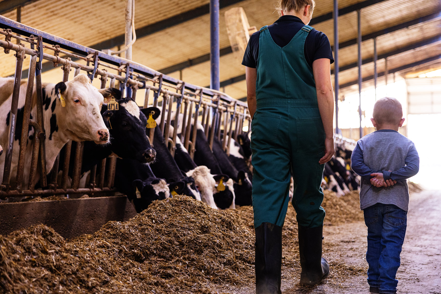 Zoetis-DairyWellness-2021-06132