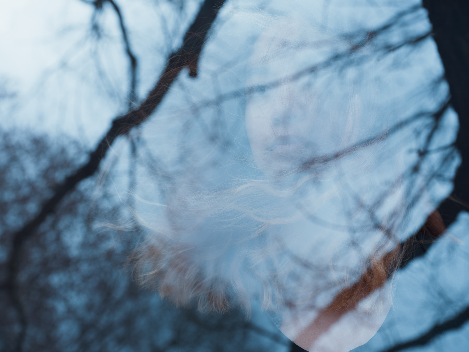 _DSF9547-climate