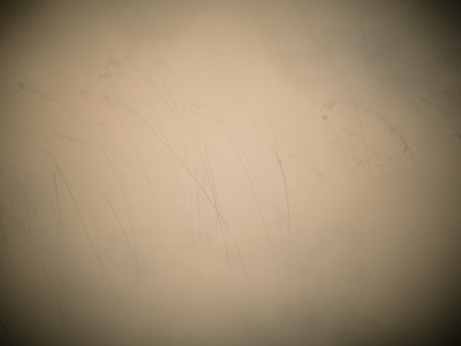 _JLP7153