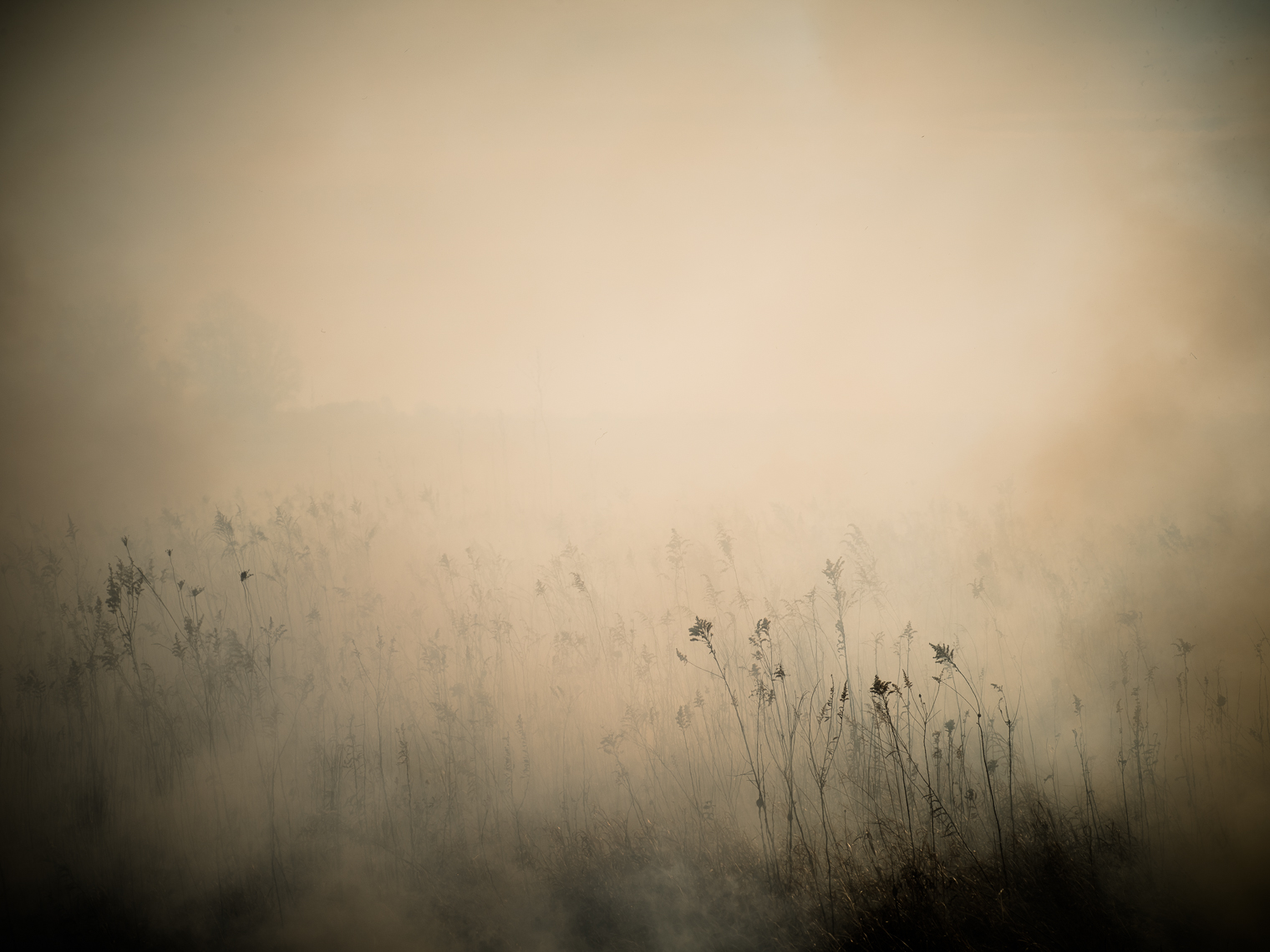 _JLP7181